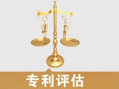 專利的價(jià)值評(píng)估，新手賣家必看