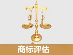 商標(biāo)的價(jià)值評(píng)估，新手賣家必看