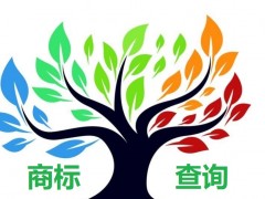如何應(yīng)對商標(biāo)查詢盲期？
